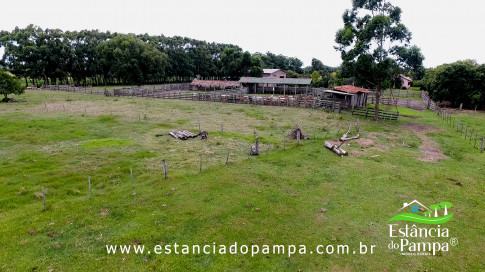 INICIO GADO TOP.00_00_56_14.Quadro015_fb7befb2fa044dd21ef052361fb1b3303c69005e.jpg